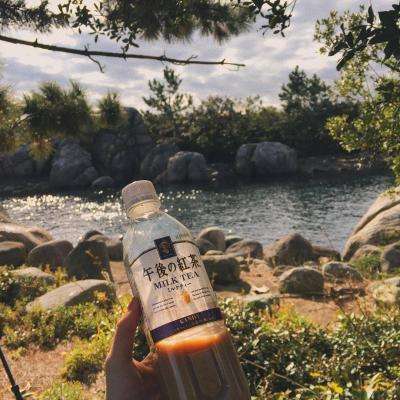 bob体体育app下载