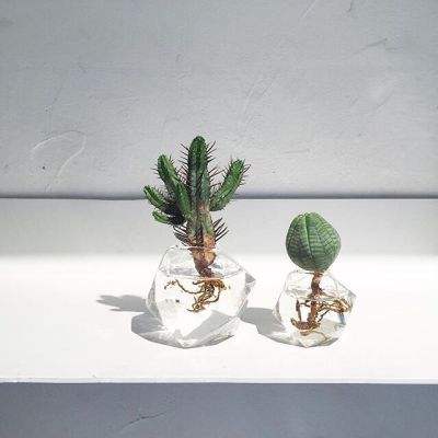 江南官方网站下载下载手机版